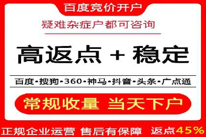 百度竞价广告在旅游行业的应用案例