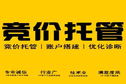 案例分享：SEM广告投放助力电商增长